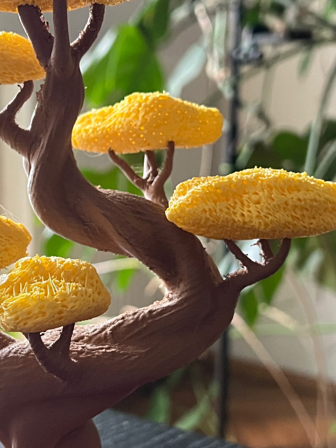 #1 Twisted Bonsai by Grafit — vue 7