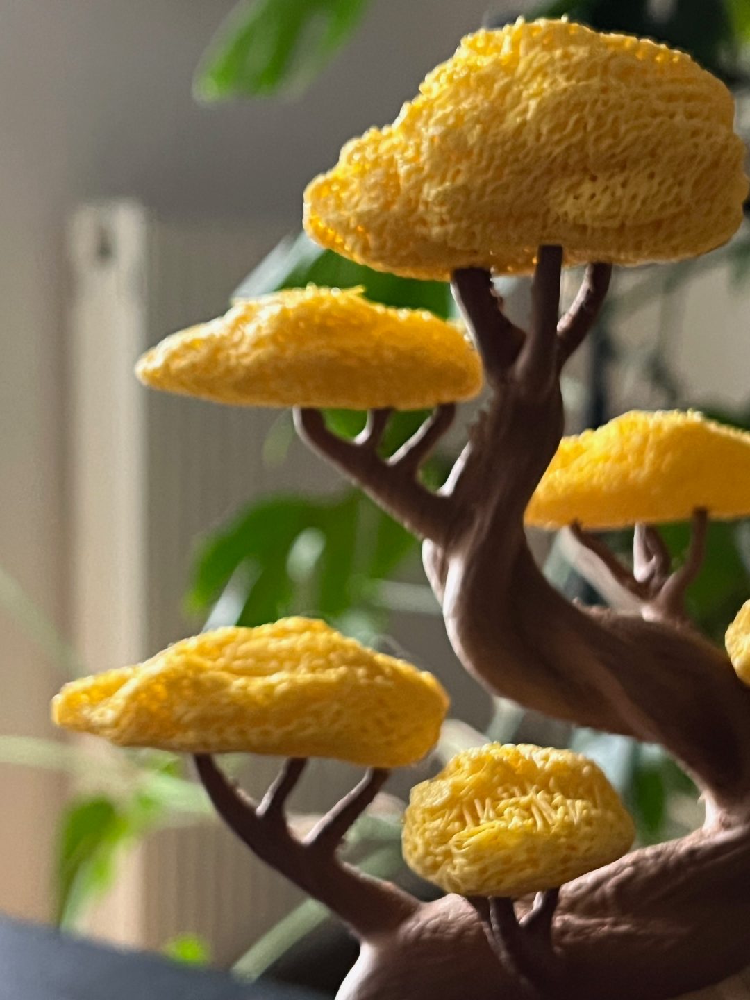 #1 Twisted Bonsai by Grafit — vue 8