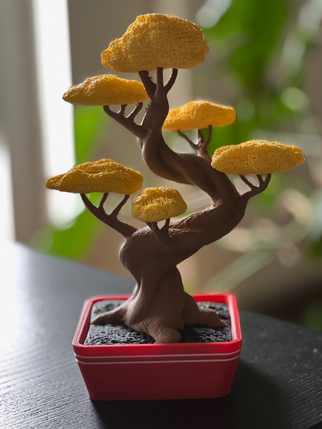 #1 Twisted Bonsai by Grafit — vue 9