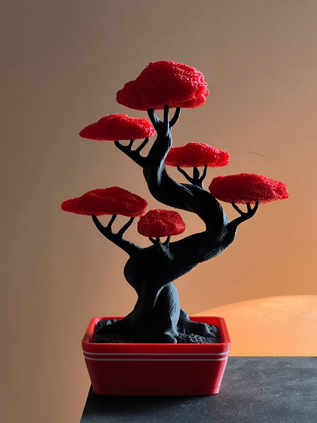 #1 Twisted Bonsai by Grafit — vue 11