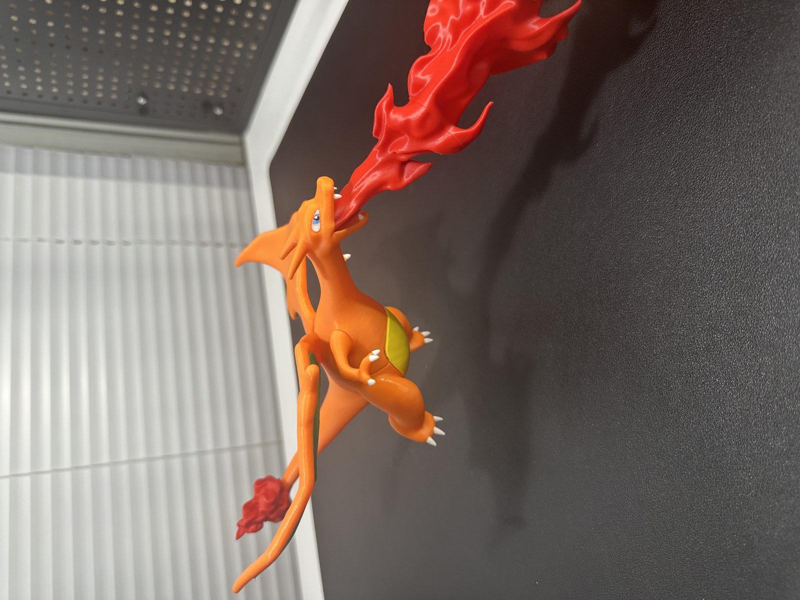 #6 Fighting Charizard — vue 6
