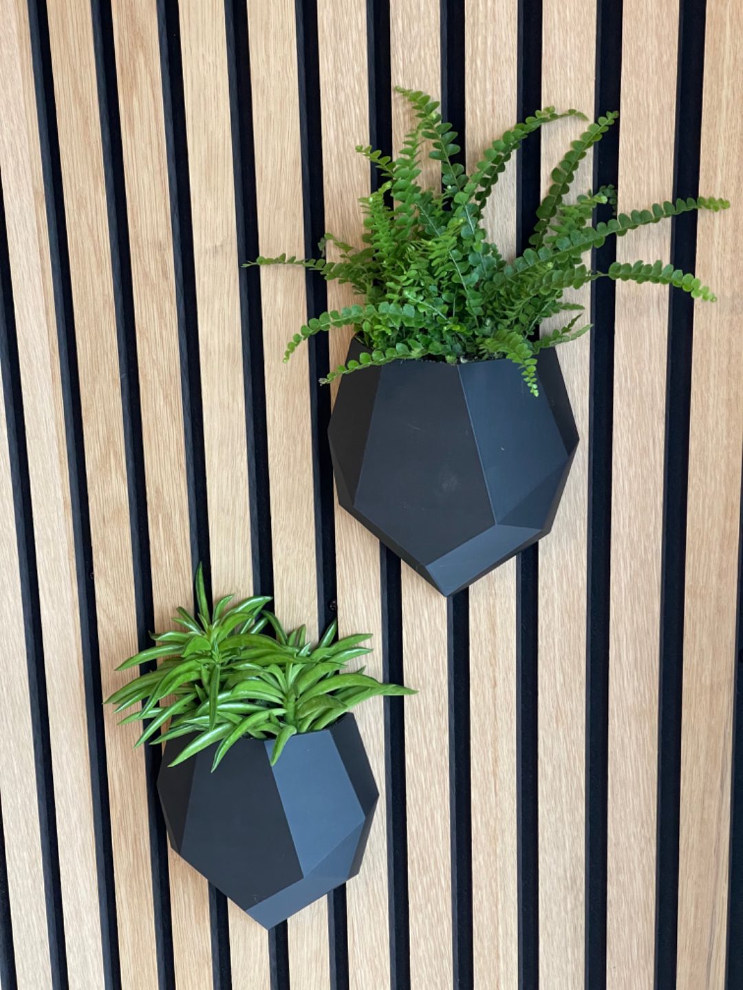 #6 Wall vase for acoustic wall panels. Self watering — vue 2