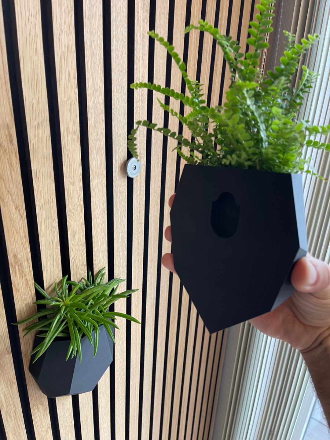 #6 Wall vase for acoustic wall panels. Self watering — vue 8