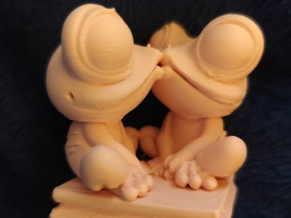 #13 süßes Froschpaar — vue 1