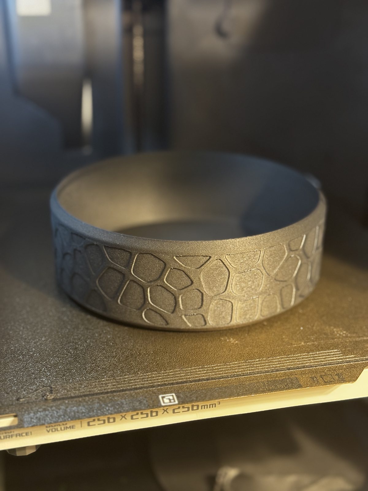 #14 Voronoi Bowl — vue 10