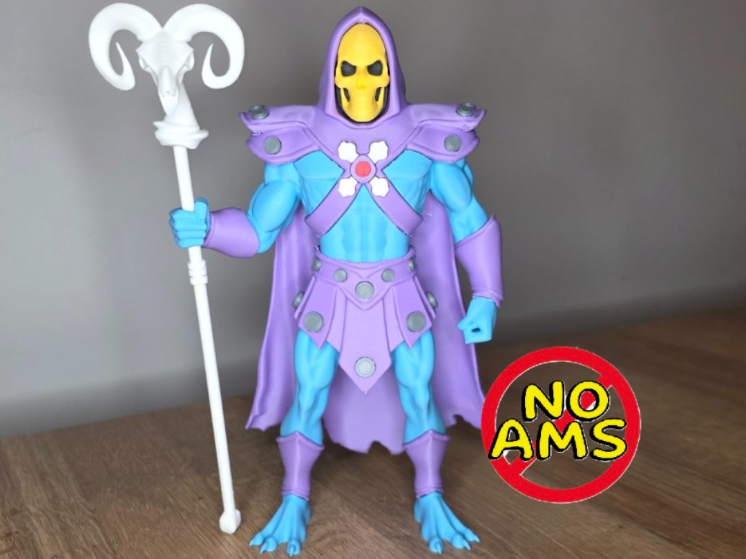 #17 MOTU Skeletor — vue 1