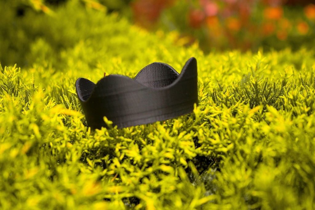 #18 Canon lens hood 50 mm — vue 2
