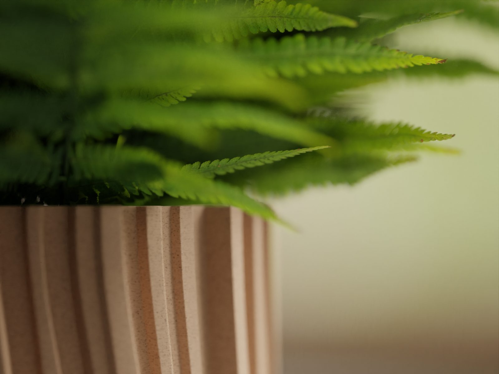 #20 Plant Pot Planter Wavy 2 — vue 9