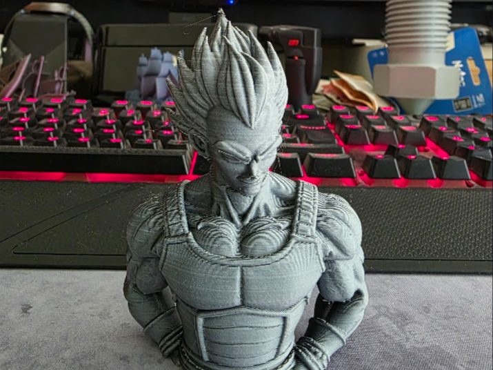 #21 Bust Vegeta — vue 1