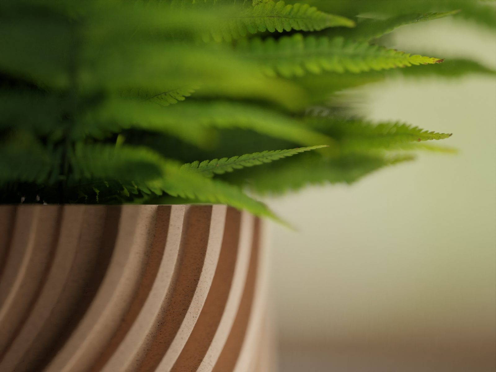 #21 Plant Pot Planter Wavy 2 twisted — vue 15