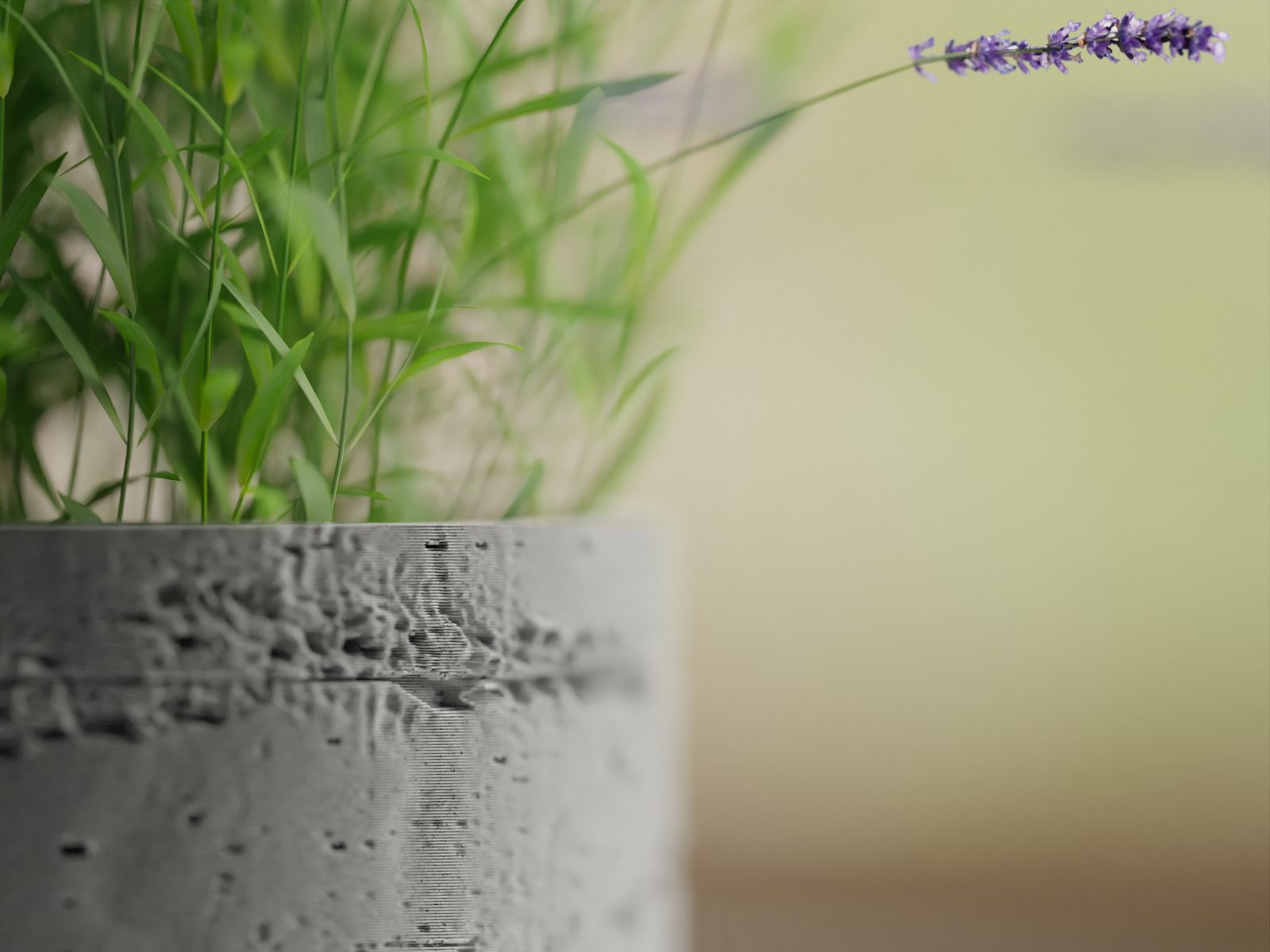 #22 Plant Pot Planter Concrete 1 — vue 8