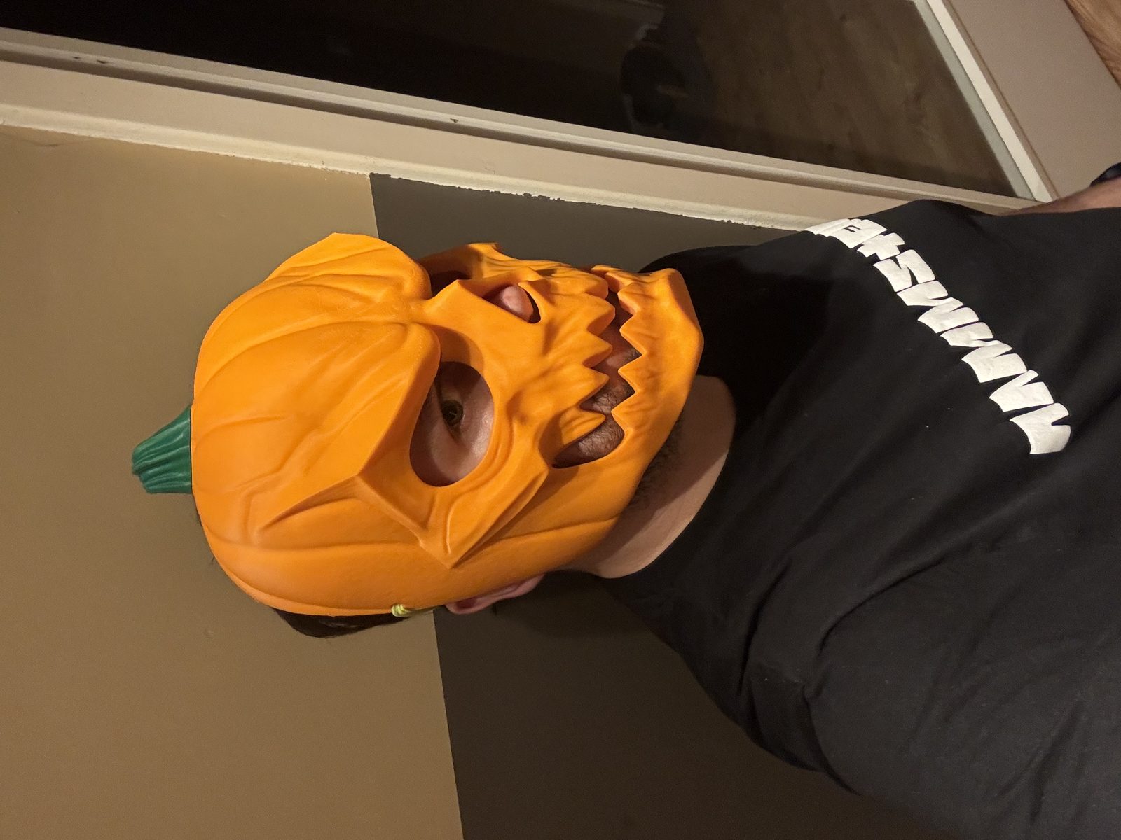 #26 Pumpkin Skull Halloween Mask — vue 7