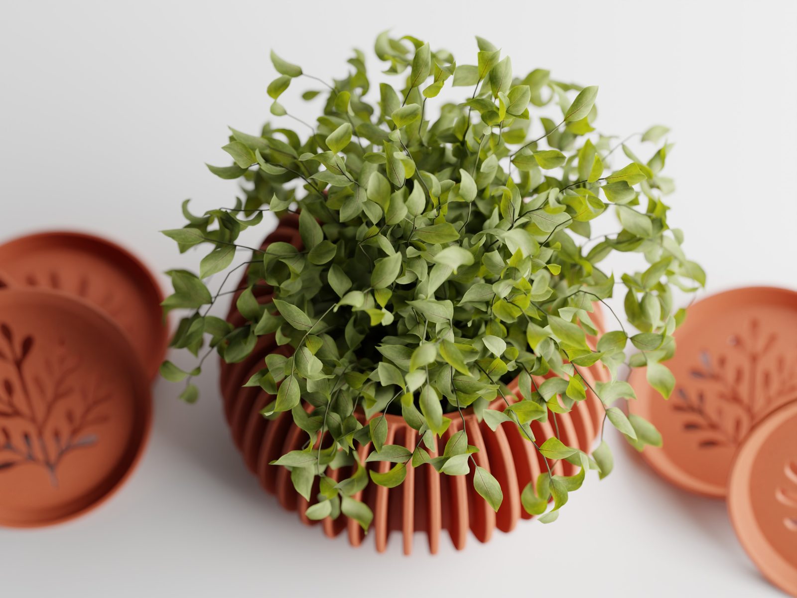 #29 Plant Pot Verdanova – Twist. Drain. Thrive — vue 10