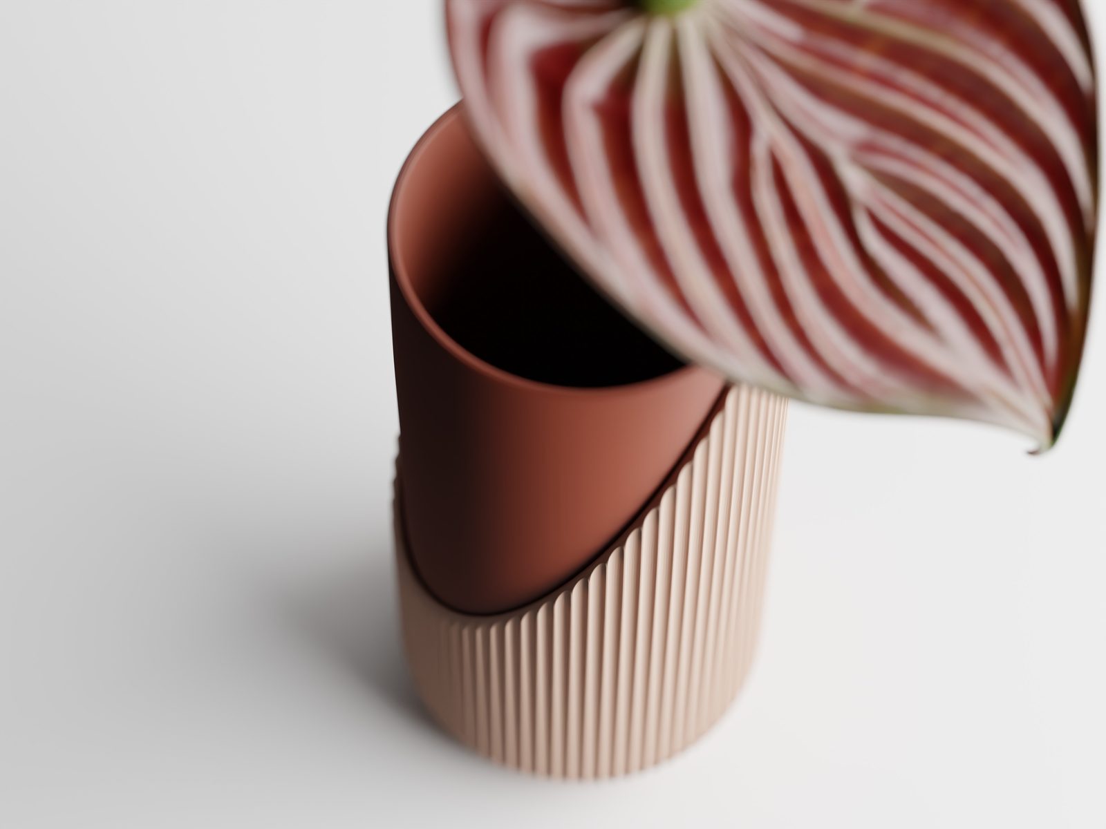 #30 Encastra – Layers of beauty. Depth of style — vue 7