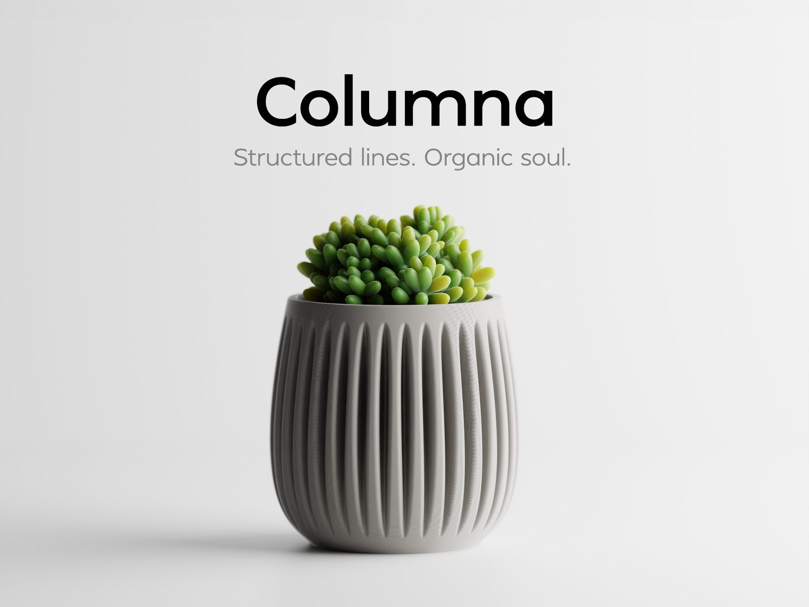 #31 Columna – Structured lines. Organic soul — vue 1