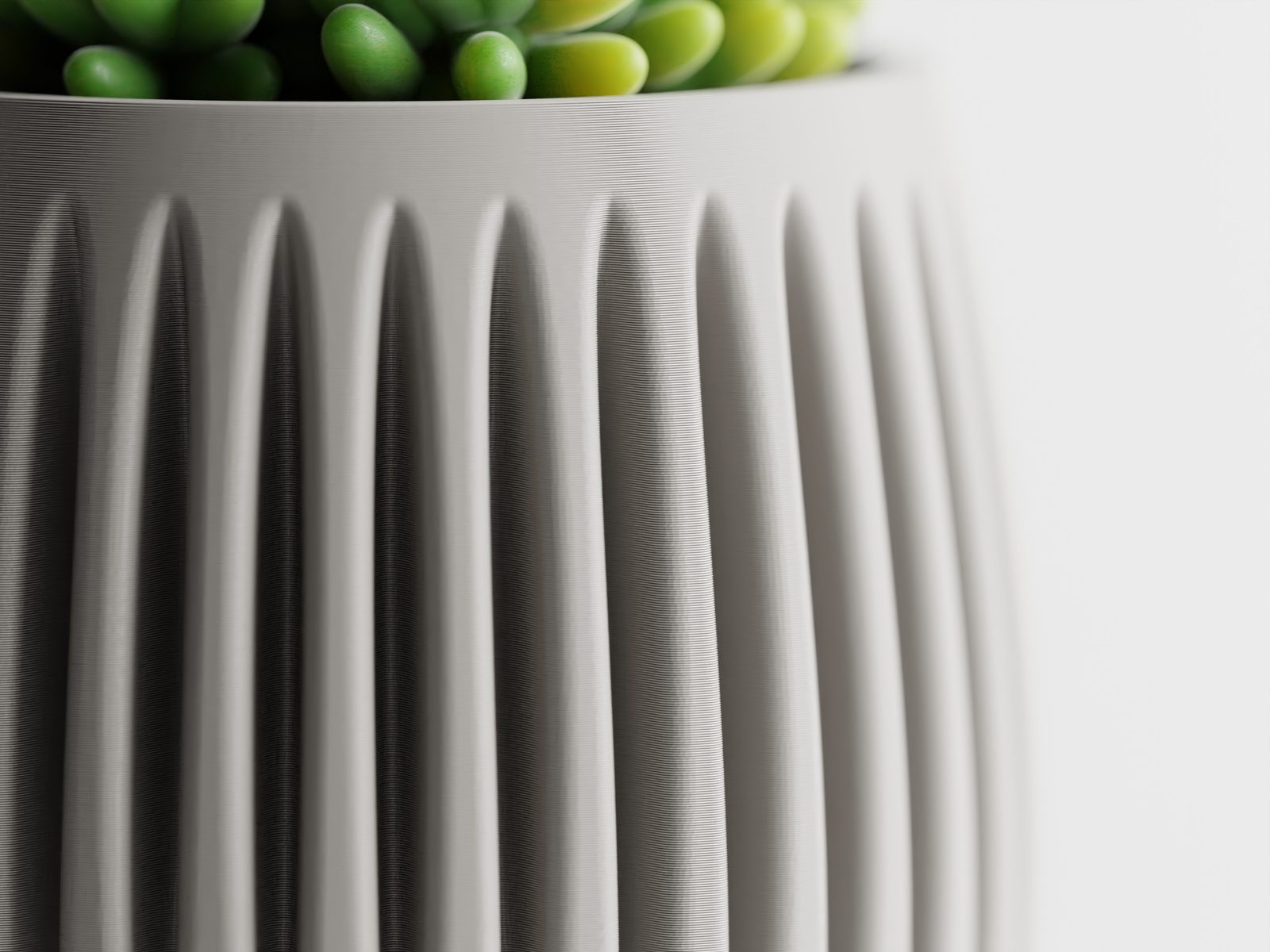 #31 Columna – Structured lines. Organic soul — vue 5