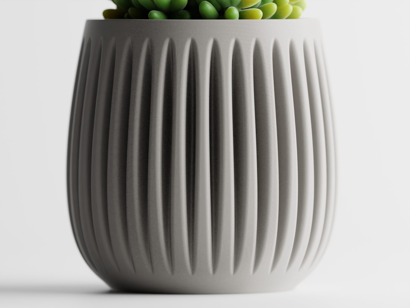 #31 Columna – Structured lines. Organic soul — vue 6