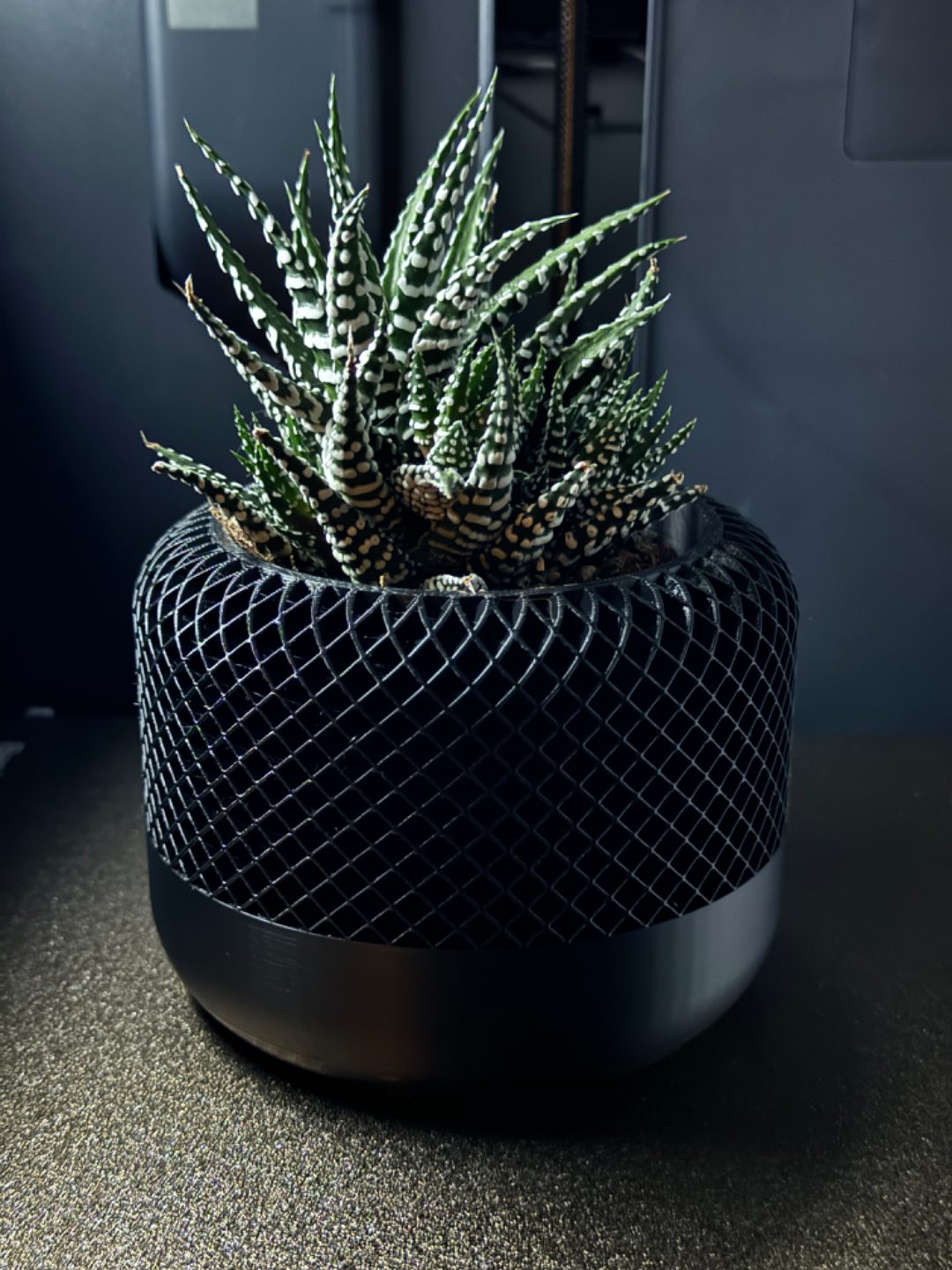 #35 Modern Apple Home Pod Style Plant Pot Vases — vue 15