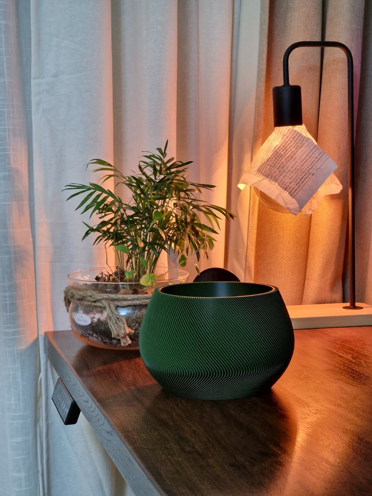 #39 ZenFlow Self Watering Planter — vue 4