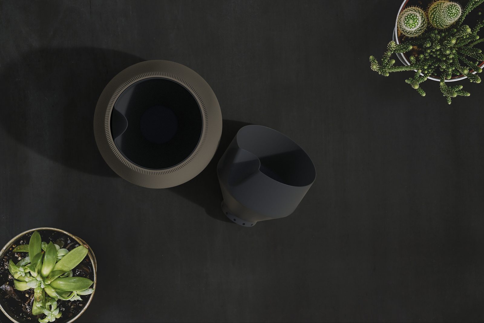 #39 ZenFlow Self Watering Planter — vue 12