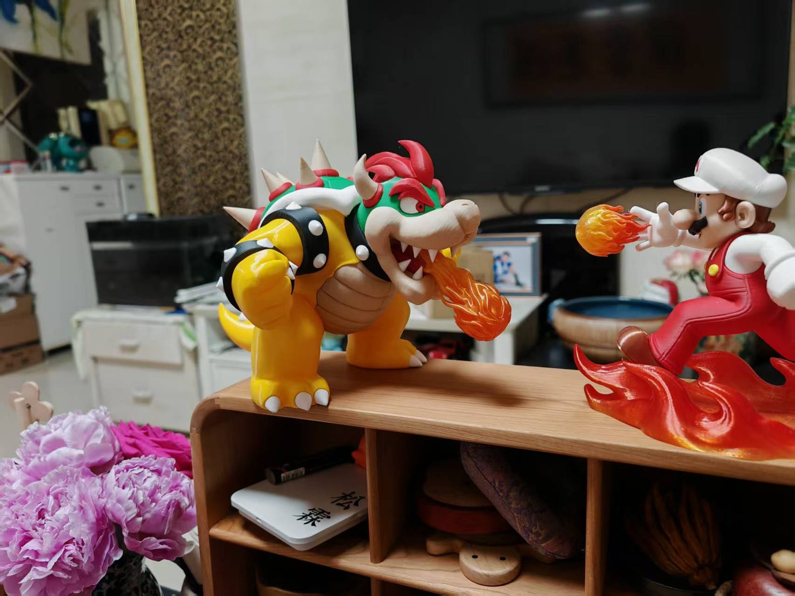 #41 Bowser_ AMS — vue 13