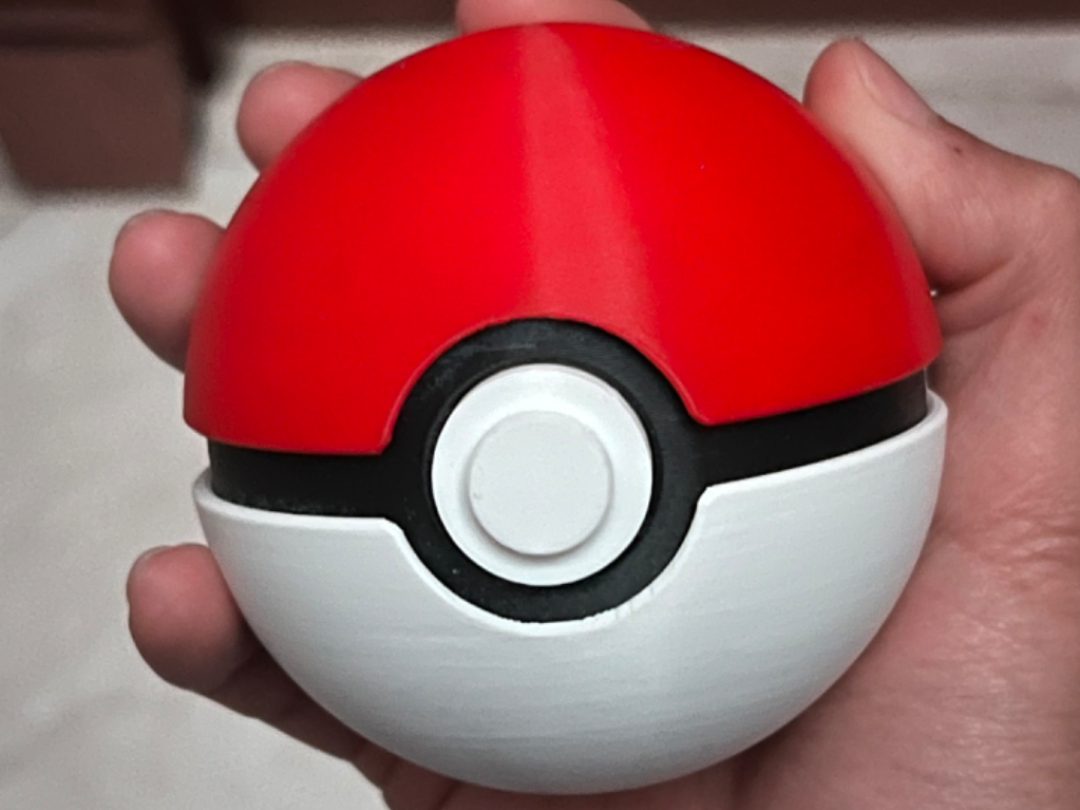 #42 Life Sized Pokeball — vue 1