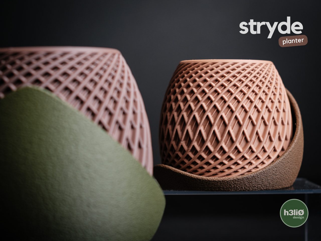 #42 Stryde · Planter — vue 3