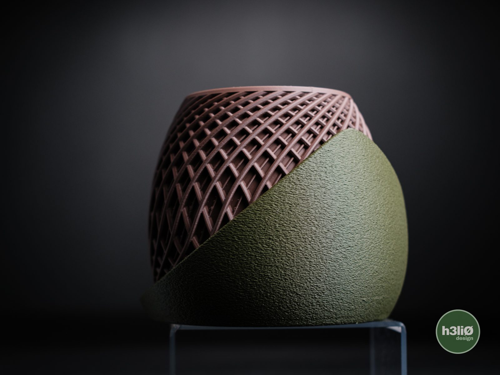 #42 Stryde · Planter — vue 12