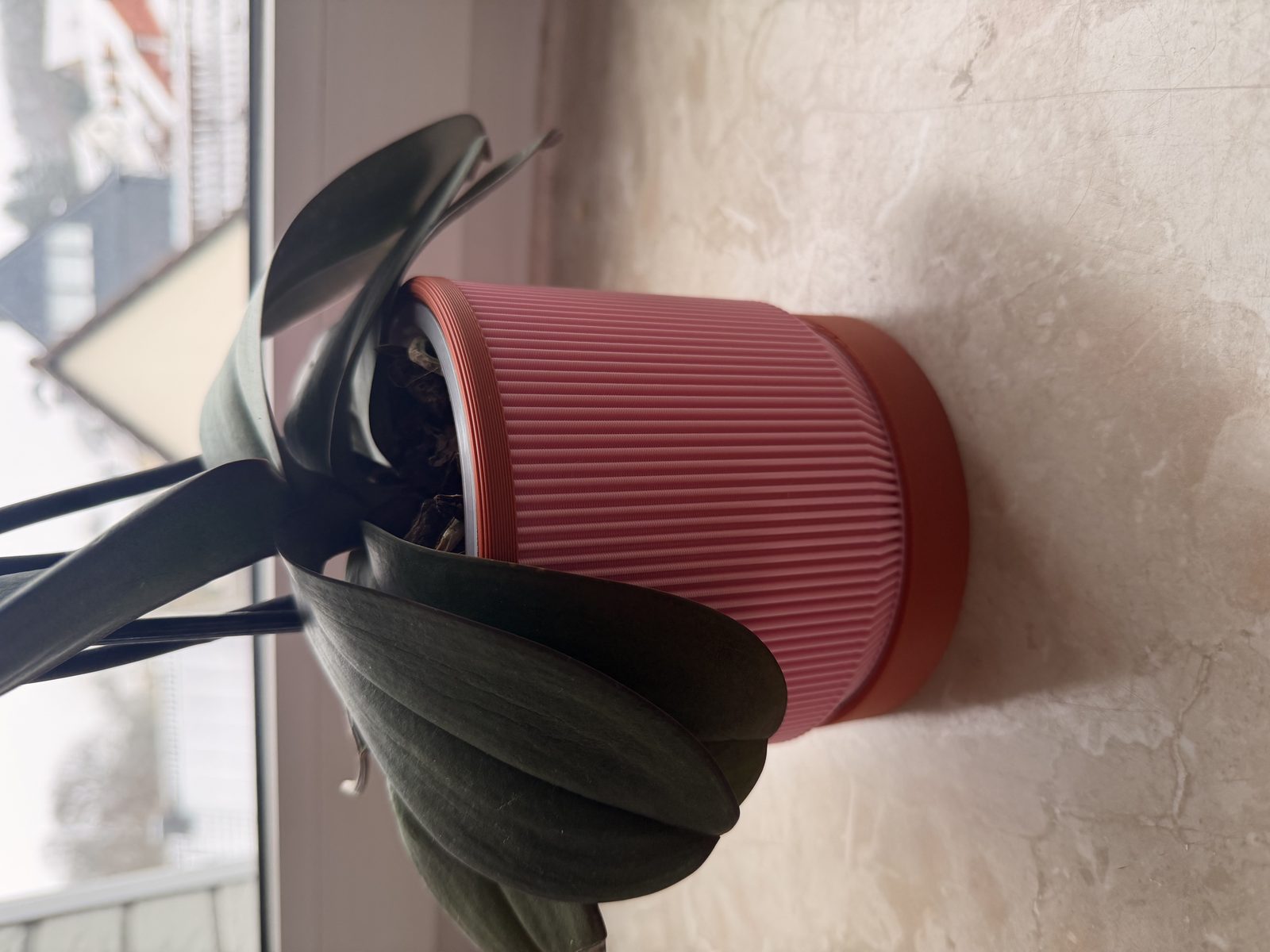 #47 Mid Century Modern Ribbed Planter with Drip Tray — vue 6