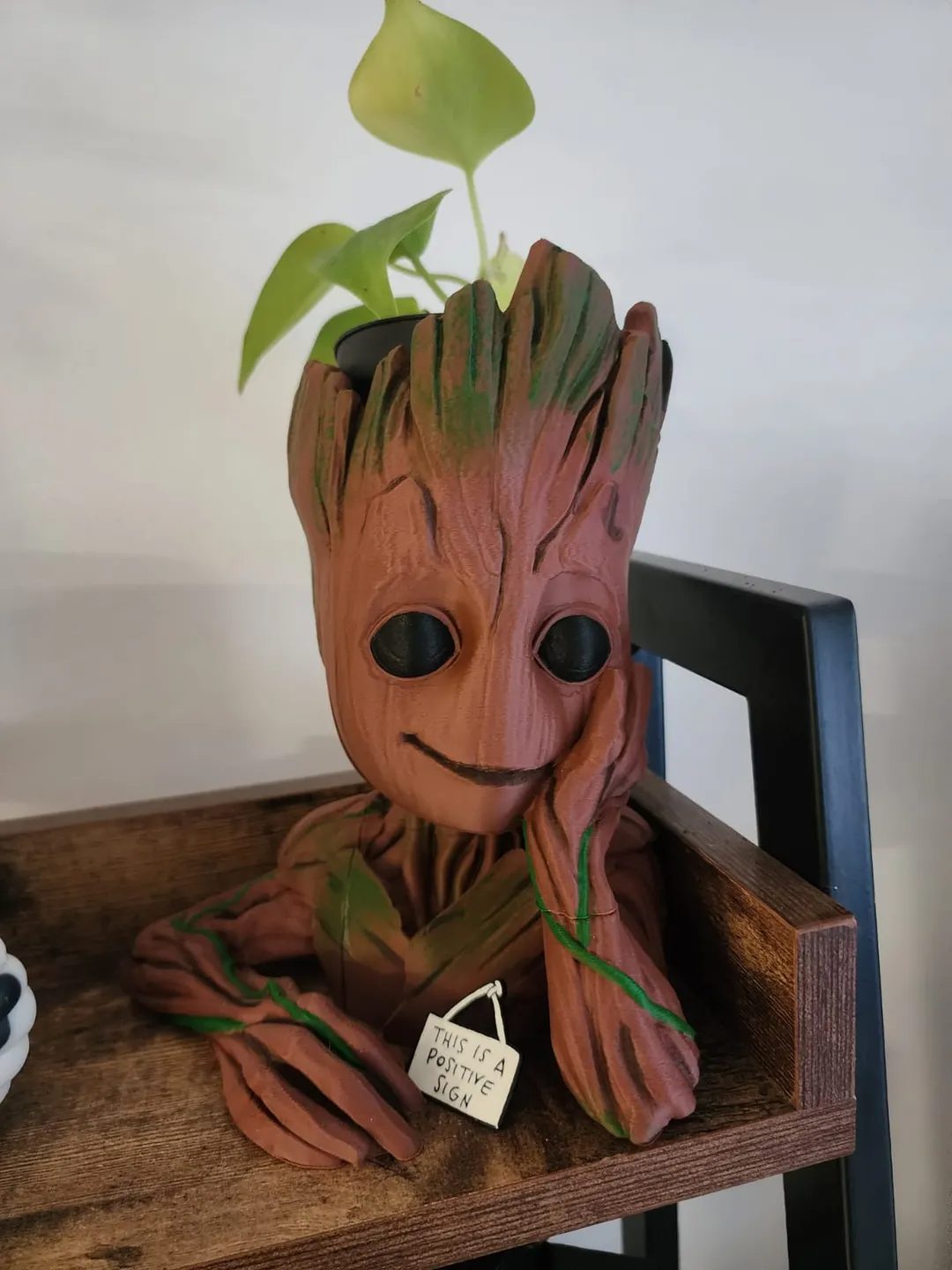 #56 Groot Planter — vue 4