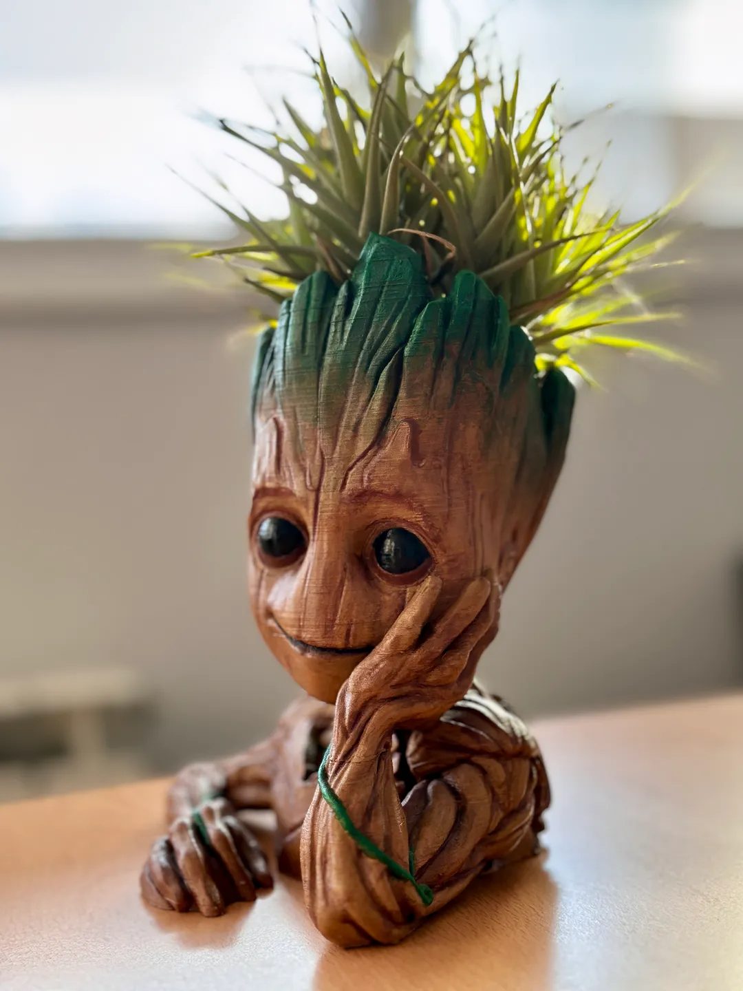 #56 Groot Planter — vue 6