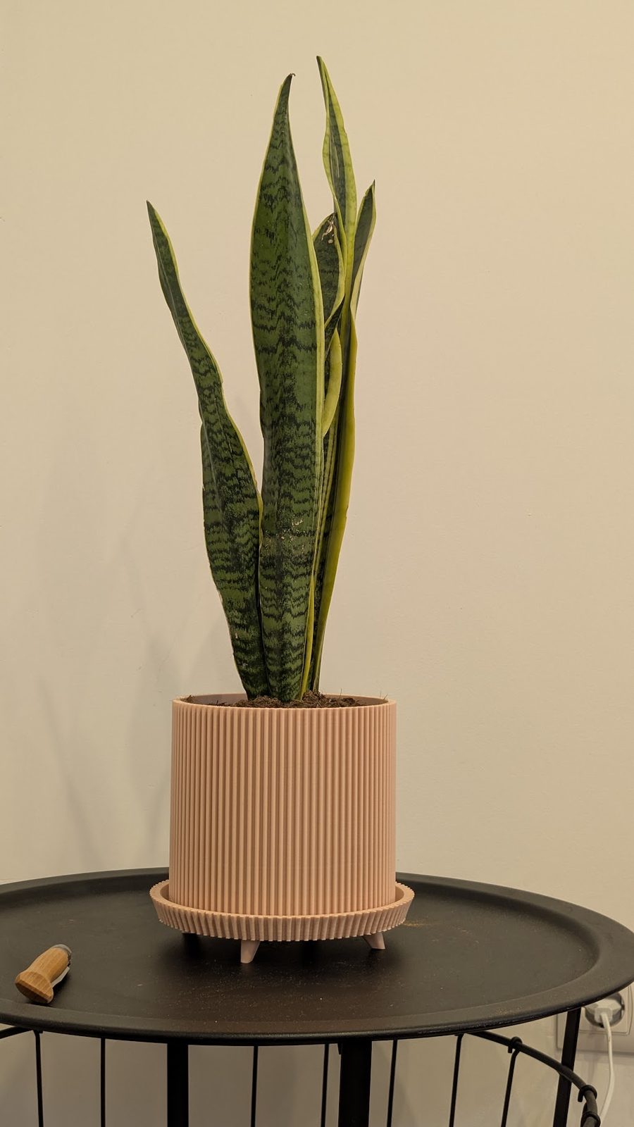 #57 Planter with legs — vue 7