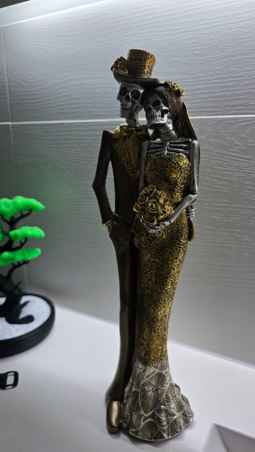 #63 A loving Mexican couple of skeletons ) — vue 9