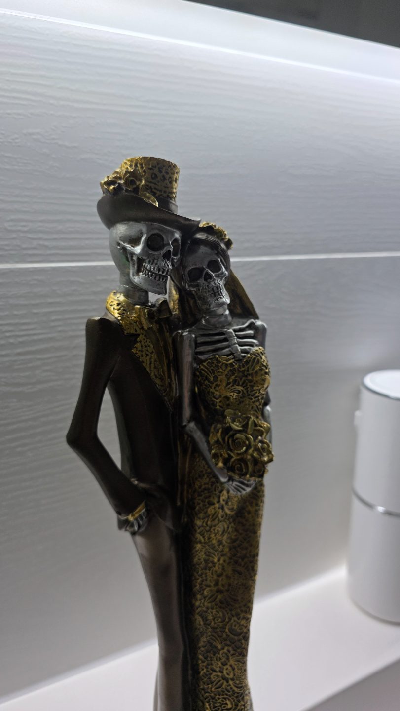 #63 A loving Mexican couple of skeletons ) — vue 10
