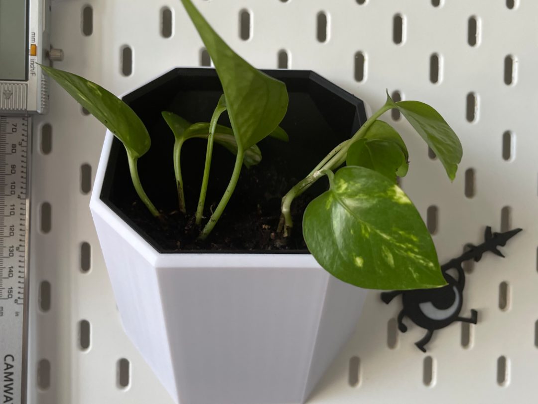 #67 Skadis pot — vue 1