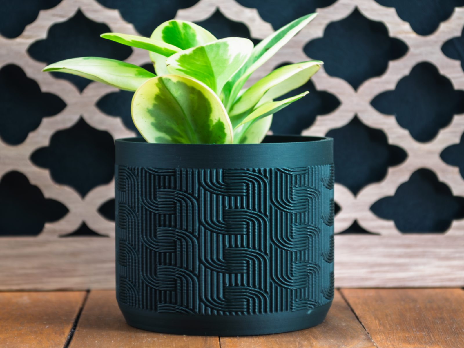#68 Indoor Plant Pot — vue 2