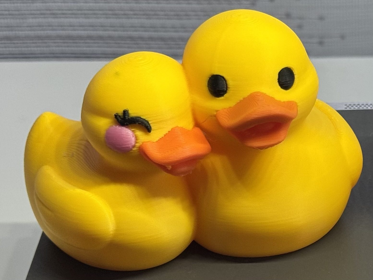 #85 Ducks cute couple — vue 1
