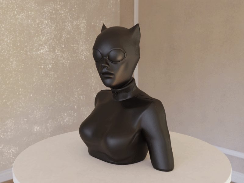 #91 Catwoman Bust — vue 1