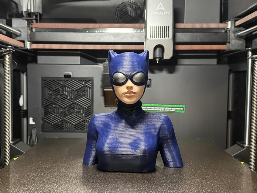 #91 Catwoman Bust — vue 2