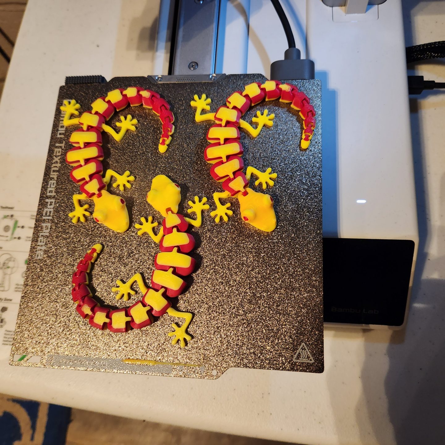 #131 Articulated Lizard v2 — vue 5
