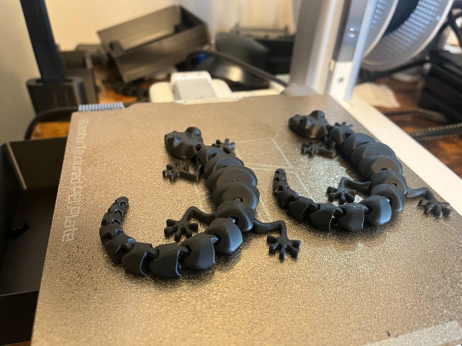 #131 Articulated Lizard v2 — vue 7