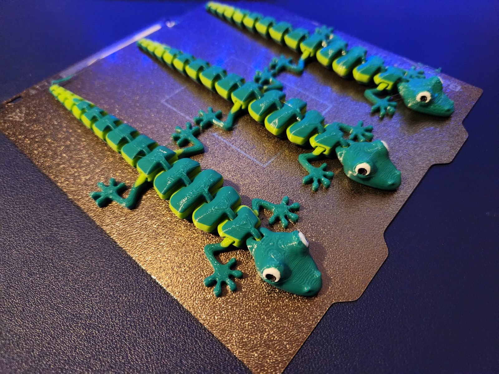 #131 Articulated Lizard v2 — vue 8