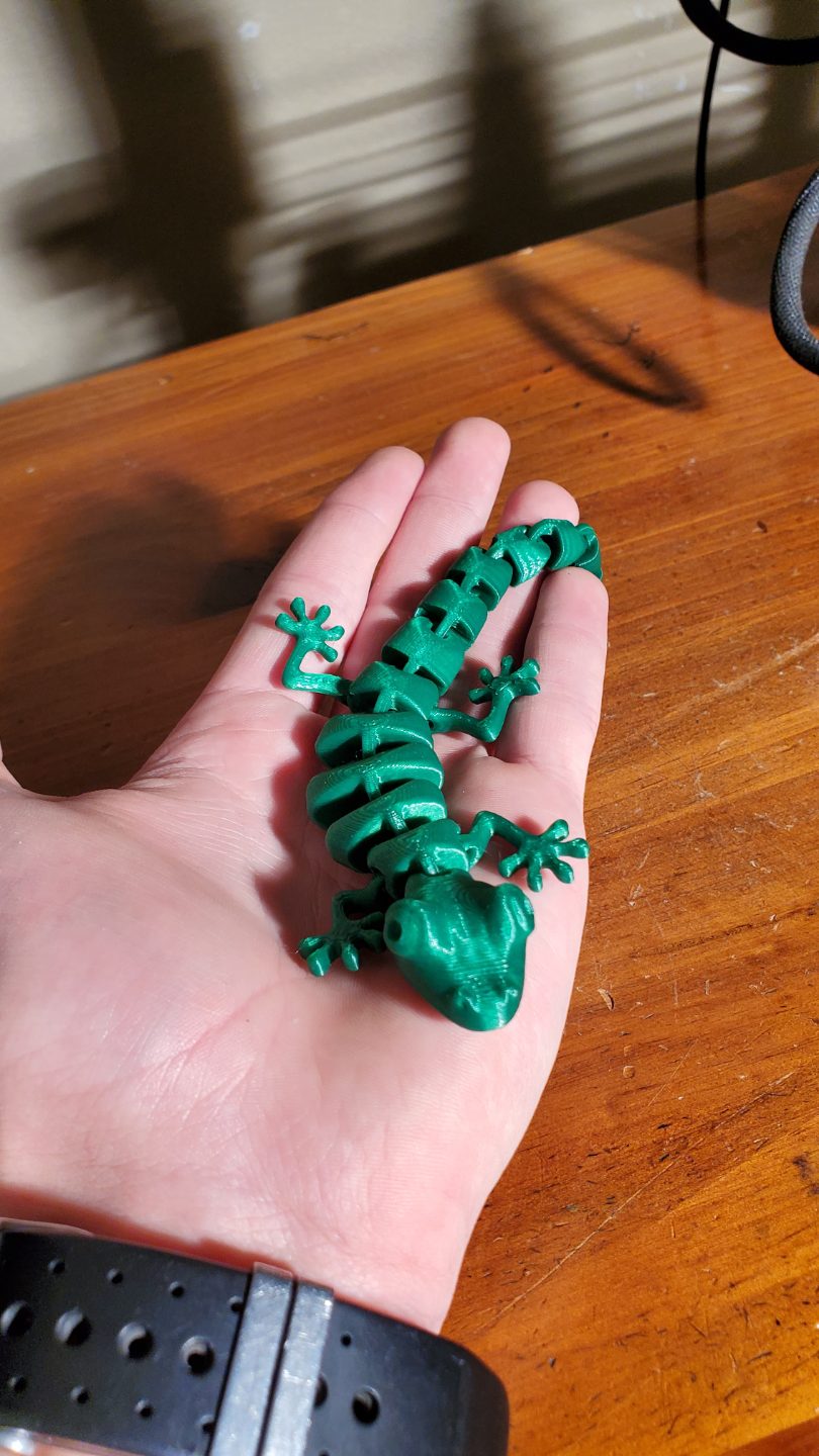#131 Articulated Lizard v2 — vue 11