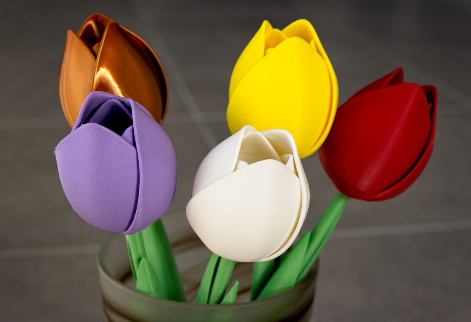 #134 The Tulip — vue 14