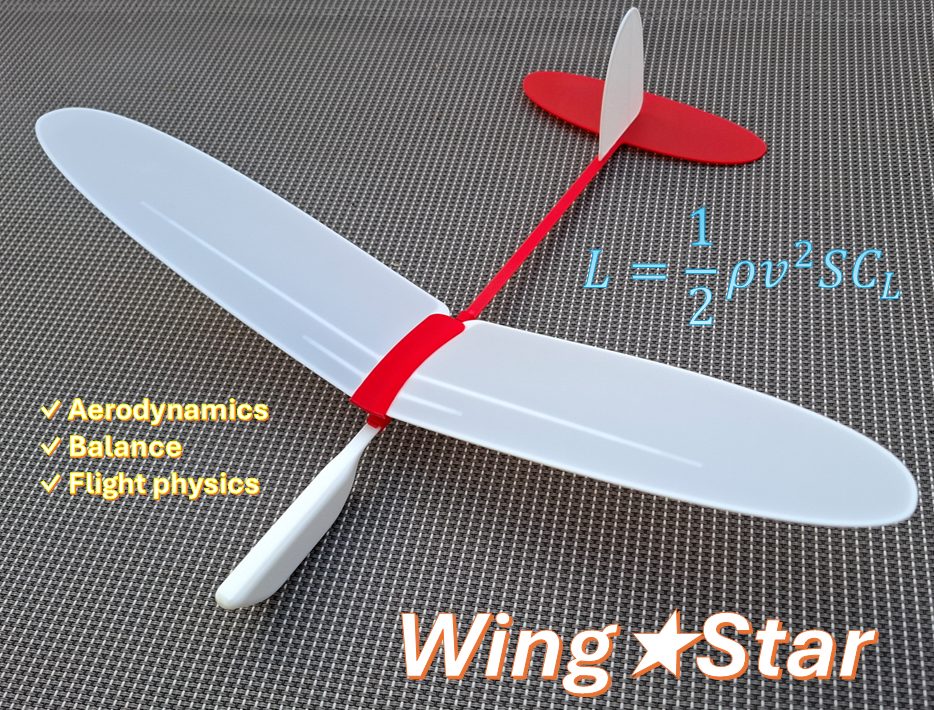 #152 Free-flight glider model WingStar — vue 14