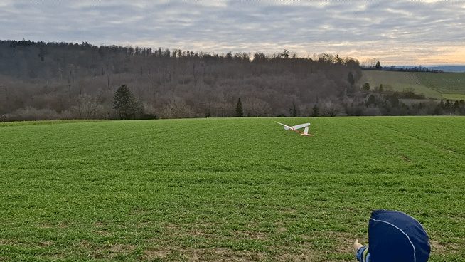 #152 Free-flight glider model WingStar — vue 18