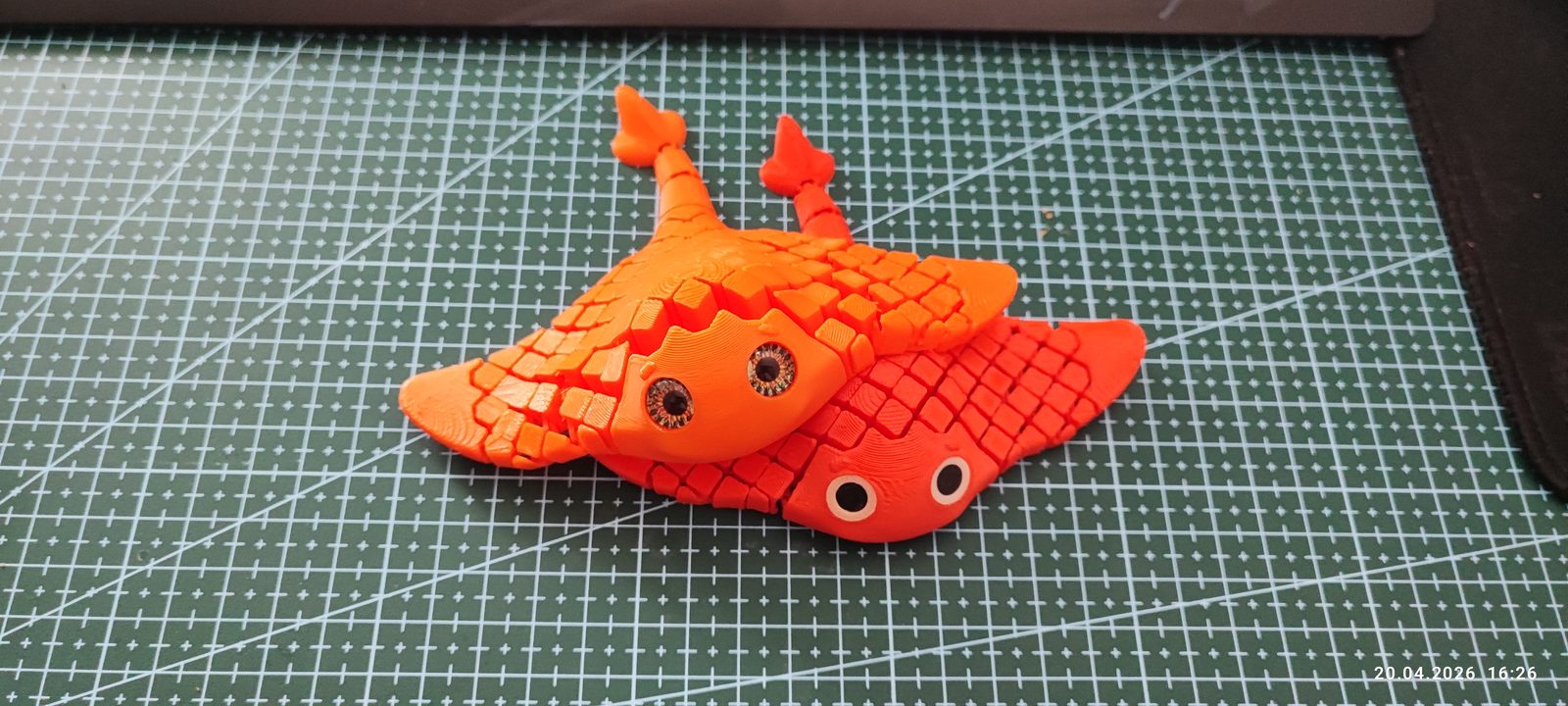 #154 Flexi Manta Ray Print in Place – NO SUPPORT — vue 2