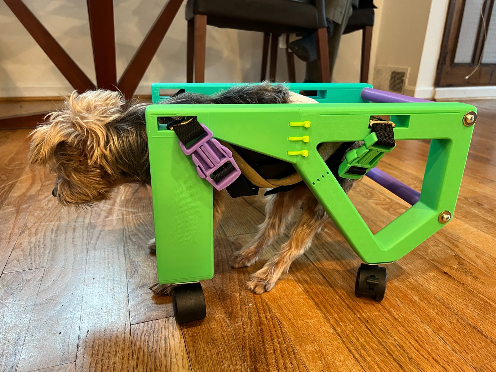 #217 Small Dog Wheelchair — vue 17
