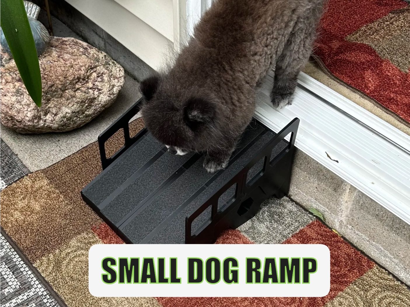 #218 Small Dog Ramp — vue 3