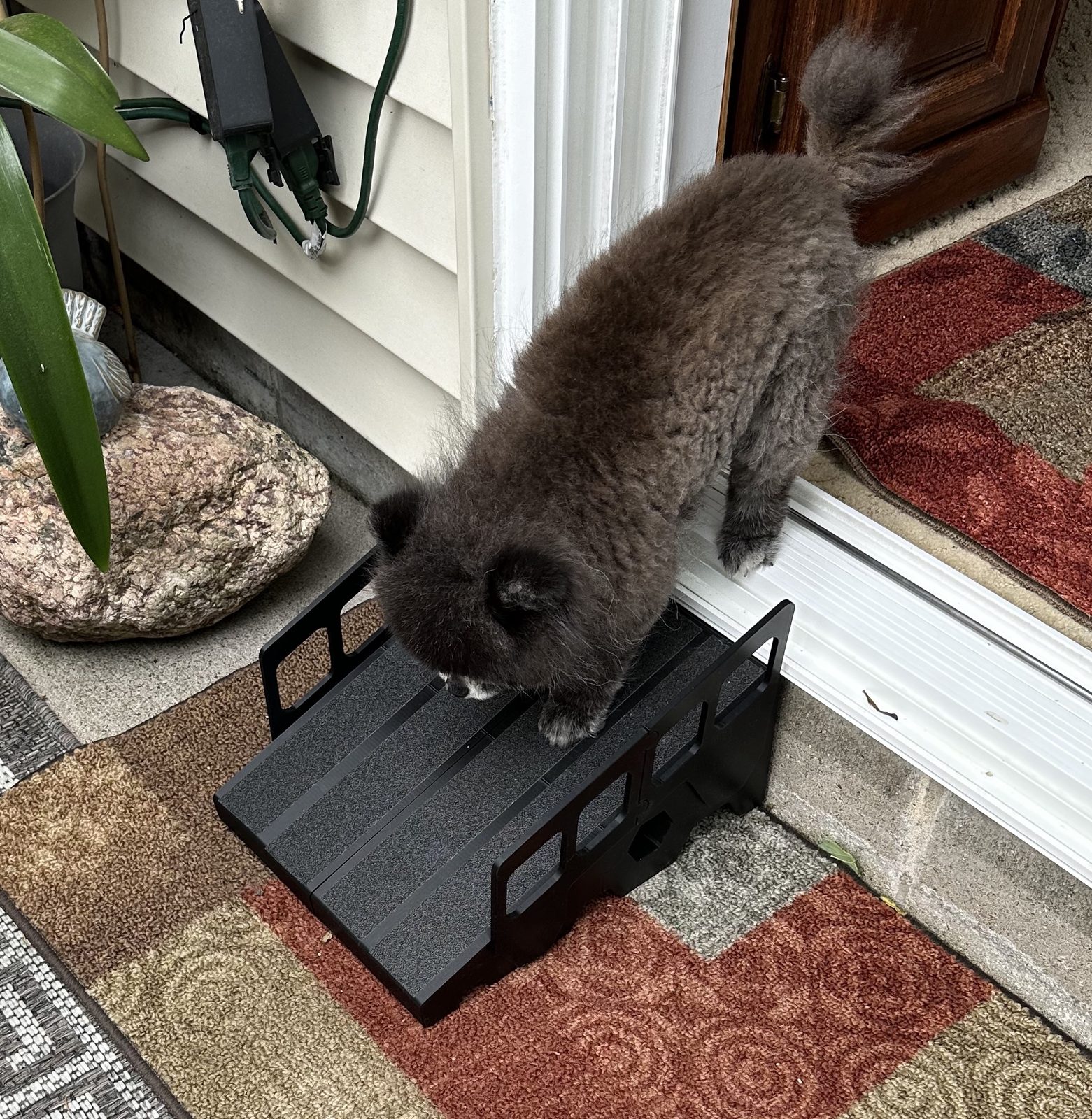 #218 Small Dog Ramp — vue 4